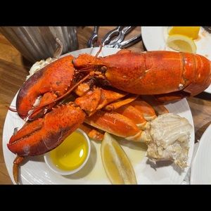 Meet your Posher, Julie